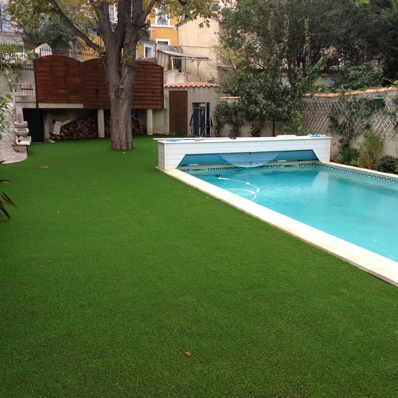 Gazon Rapid 20