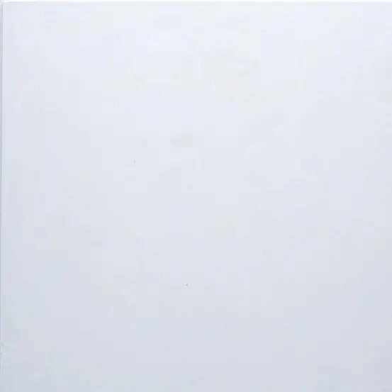 Lebriplak 8004 — Lisa escal. arenada