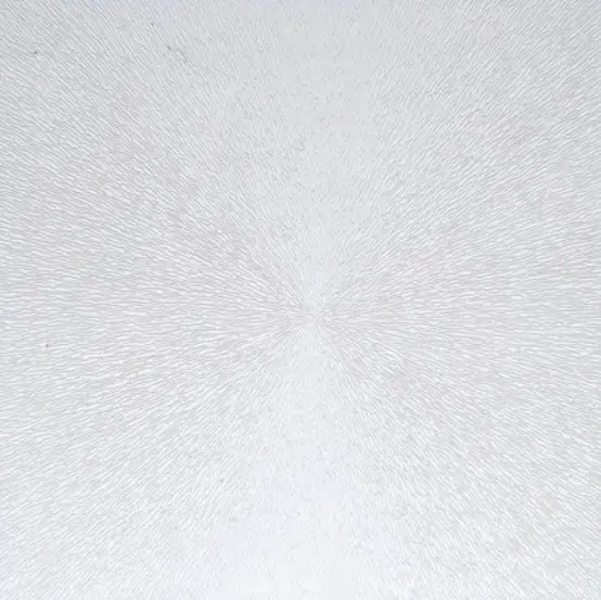 Lebriplak 8013 — Sol