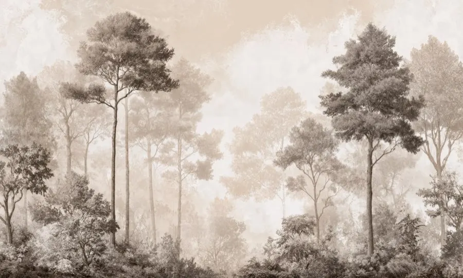 Forêt des Silences