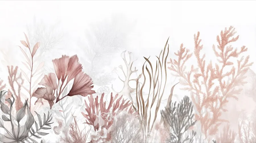 Jardin de corail